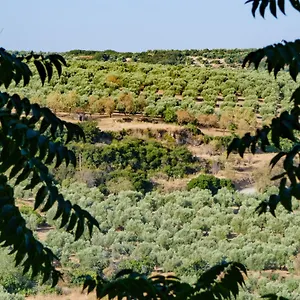 la-alegria-de-las-cuevas.es-andalucia.com/